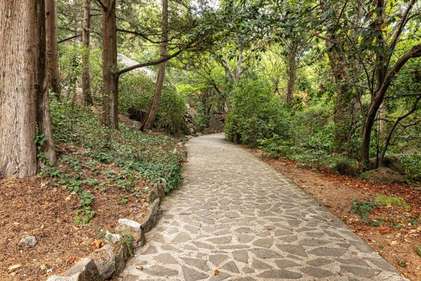 Stone Walkway Repair in Fishers