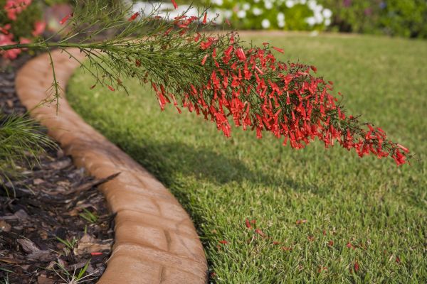 Brick Edging in Fishers