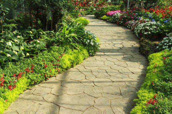 Stone Pathway Repair in Fishers