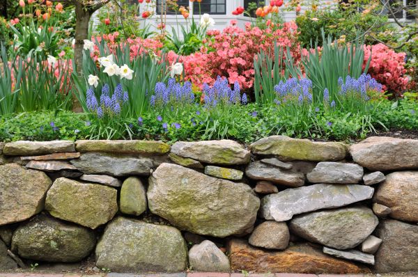 Stone Wall Hardscaping in Fishers