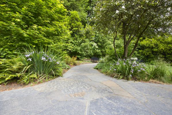Stone Hardscape Service in Fishers